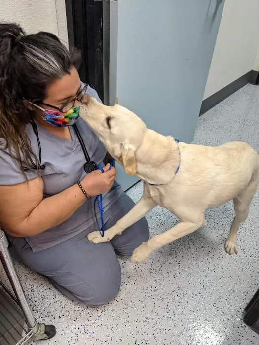 Heaven Can Wait Animal Society Wellness Clinic Picture 8