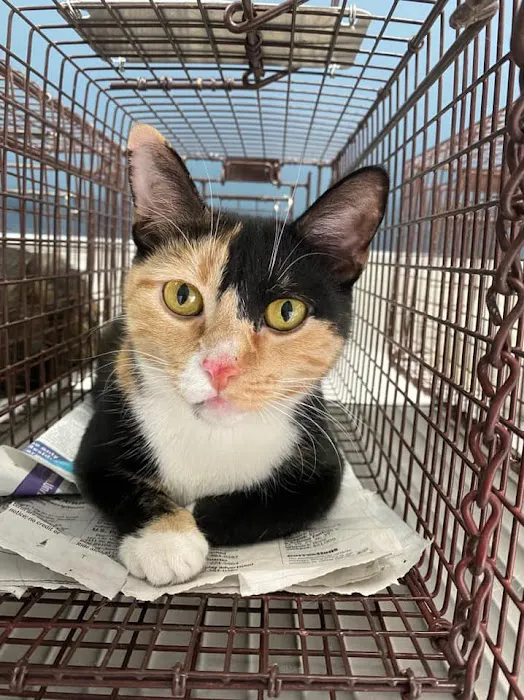 Heaven Can Wait Animal Society Spay & Neuter Clinic Picture 3