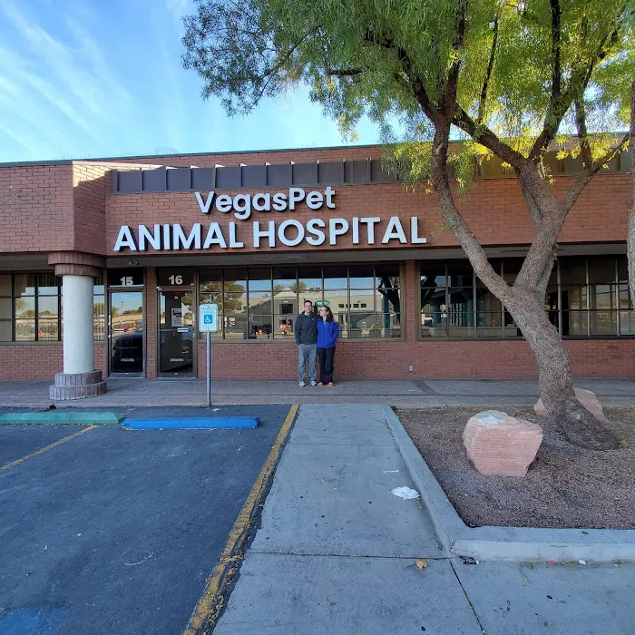 VegasPet Animal Hospital Picture 1