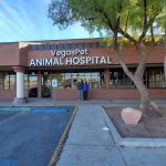 VegasPet Animal Hospital