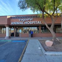 VegasPet Animal Hospital ico