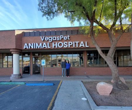 VegasPet Animal Hospital