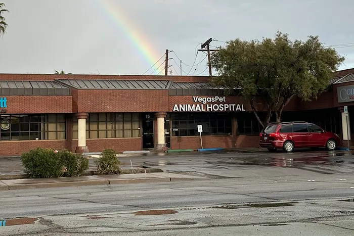 VegasPet Animal Hospital Picture 3