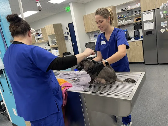 VegasPet Animal Hospital Picture 6