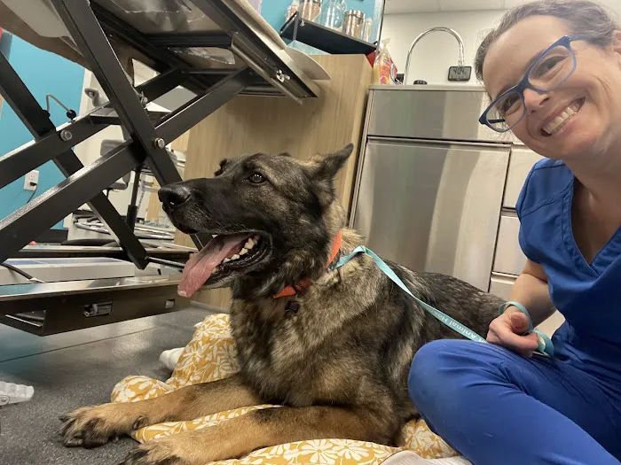VegasPet Animal Hospital Picture 5