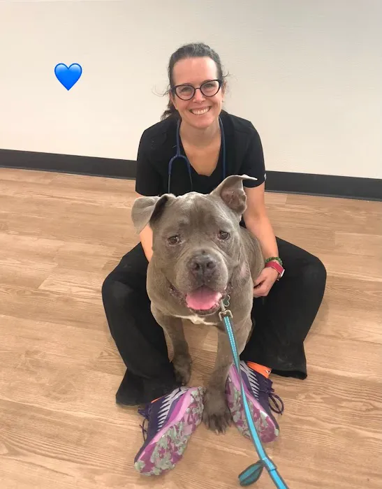 VegasPet Animal Hospital Picture 8