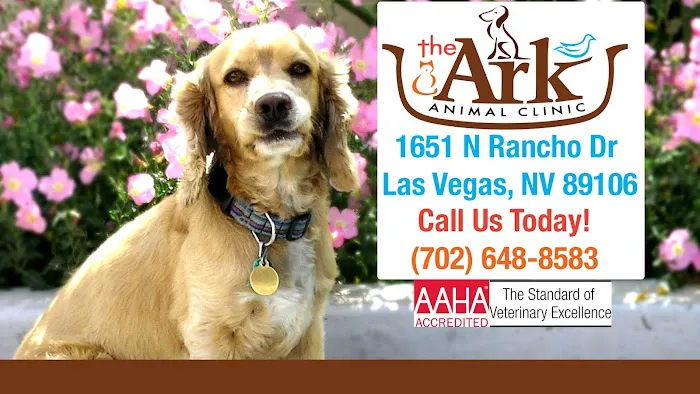 The Ark Animal Clinic Picture 1