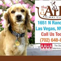 The Ark Animal Clinic ico