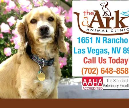 The Ark Animal Clinic