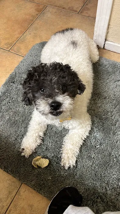 Doc Mo's Kindred Spirits Animal Hospital Picture 4