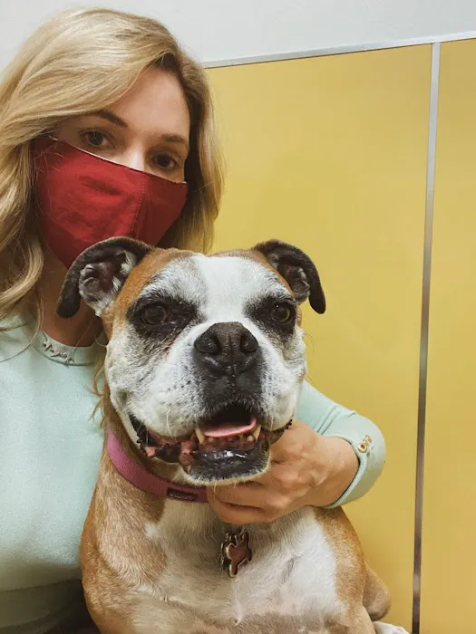 Sahara Animal Hospital Picture 1