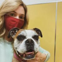 Sahara Animal Hospital ico