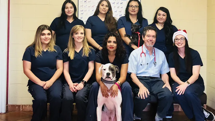 Sahara Animal Hospital Picture 3
