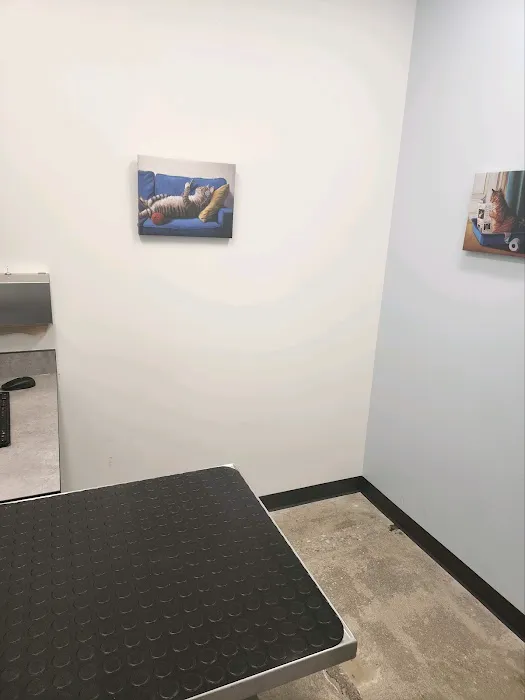 PetSmart Veterinary Services - W Las Vegas (S Decatur) Picture 7