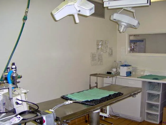 VCA Decatur Animal Hospital Picture 1