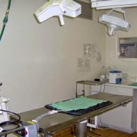 VCA Decatur Animal Hospital ico