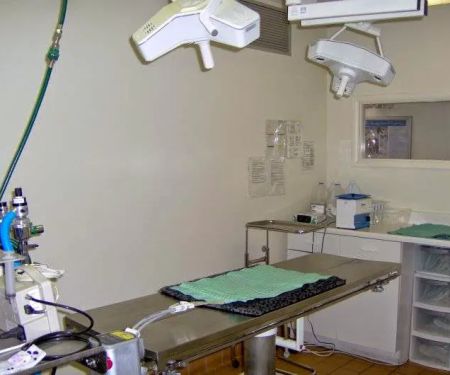 VCA Decatur Animal Hospital
