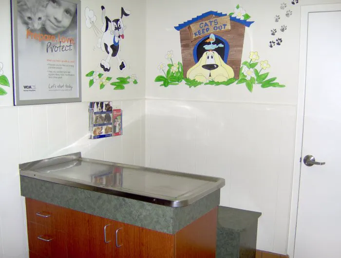 VCA Decatur Animal Hospital Picture 5