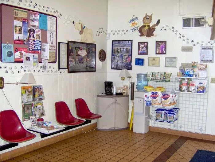 VCA Decatur Animal Hospital Picture 6
