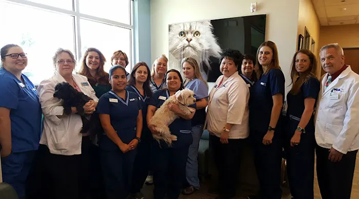 VCA Decatur Animal Hospital Picture 7