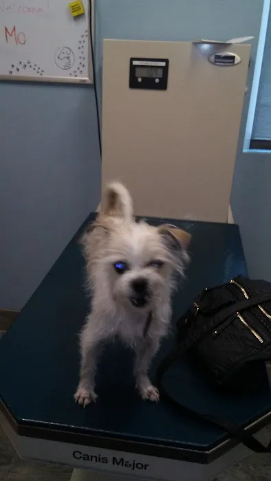 VCA Decatur Animal Hospital Picture 10