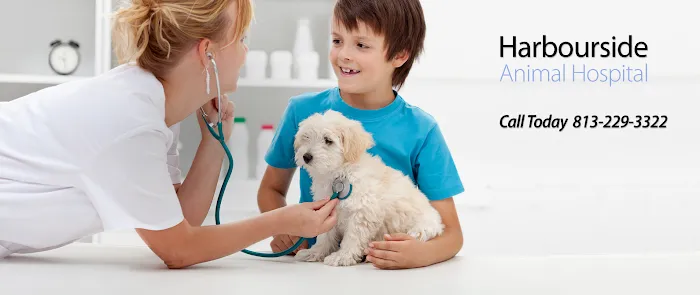 Harbourside Animal Hospital Picture 3