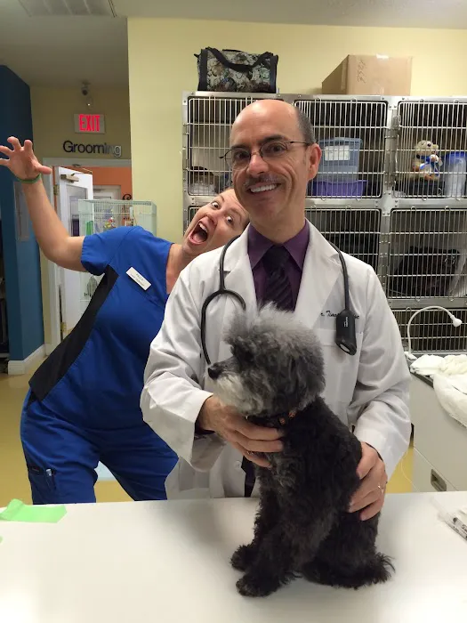 Harbourside Animal Hospital Picture 9