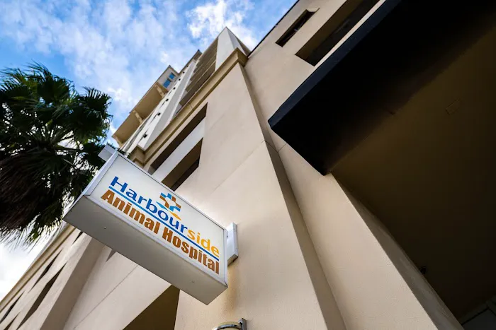 Harbourside Animal Hospital Picture 8
