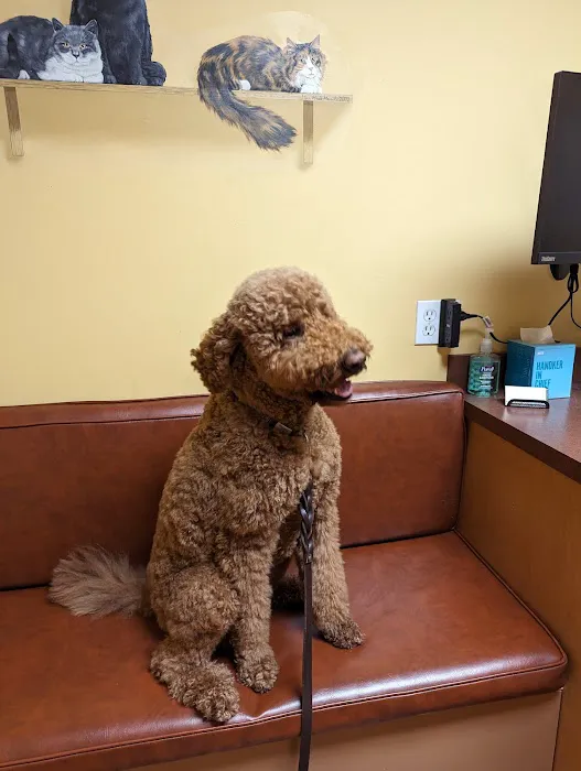Hyde Park Veterinary Clinic Picture 1