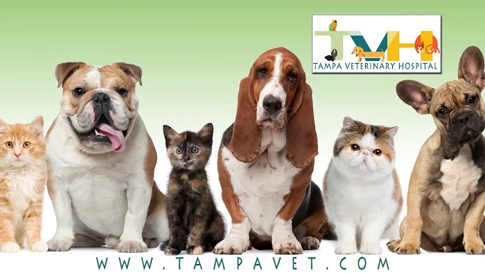 Tampa Veterinary Hospital Picture 1