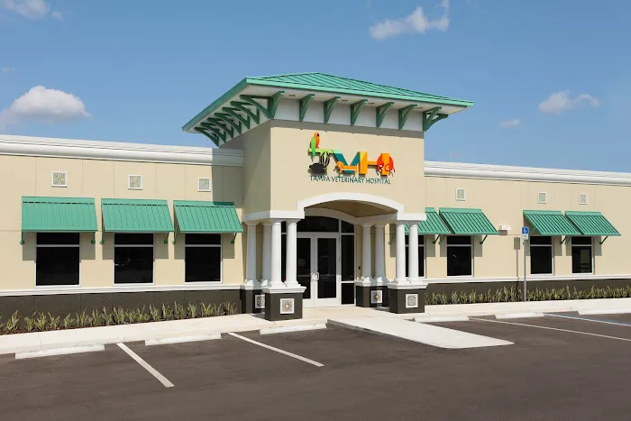 Tampa Veterinary Hospital Picture 2