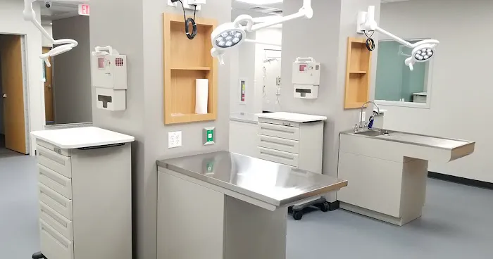 Tampa Veterinary Hospital Picture 4