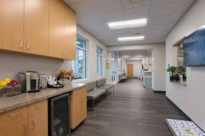 Tampa Veterinary Hospital Picture 3