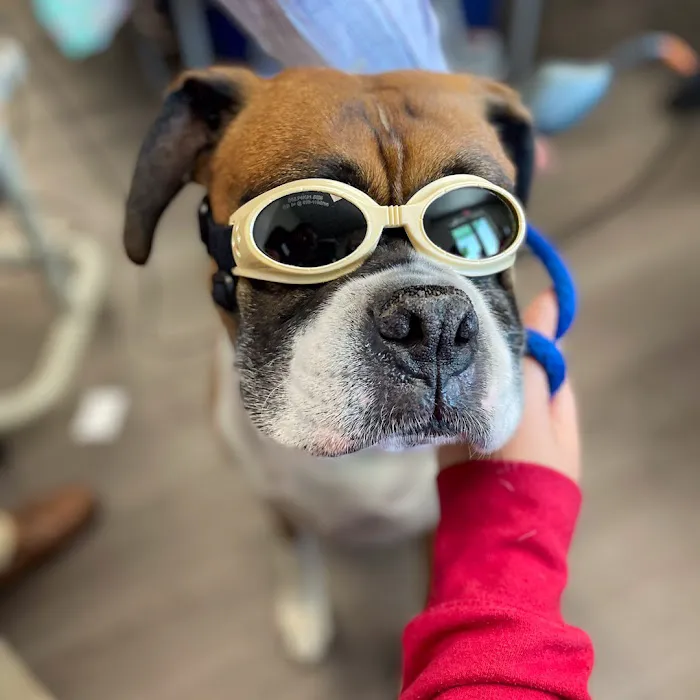 Tampa Veterinary Hospital Picture 10