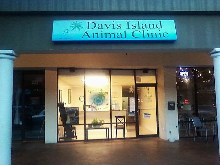 Davis Island Animal Clinic Picture 3