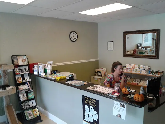 Davis Island Animal Clinic Picture 5