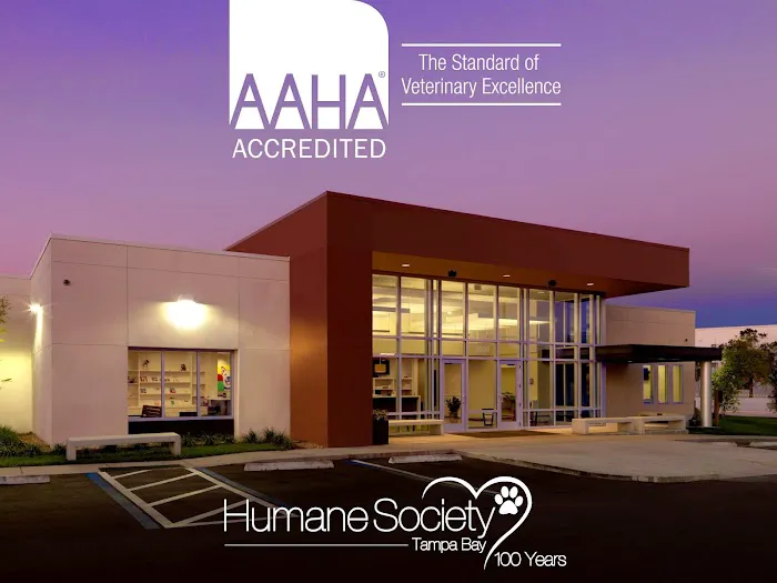 Animal Health Center at the Humane Society of Tampa Bay Picture 3