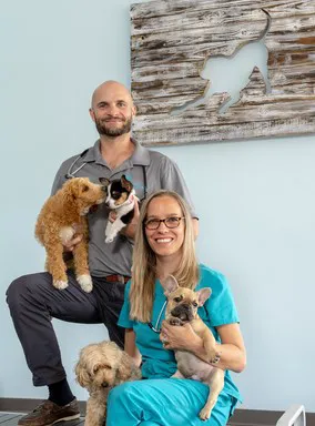 Coastal Animal Clinic - Tampa Picture 1