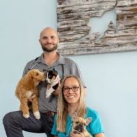 Coastal Animal Clinic - Tampa ico