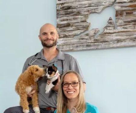 Coastal Animal Clinic - Tampa