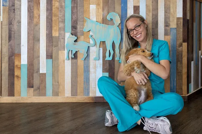Coastal Animal Clinic - Tampa Picture 10