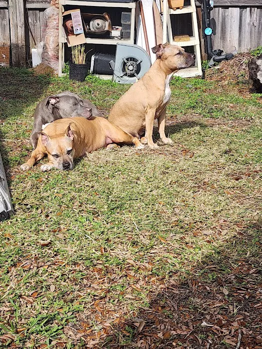 Banfield Pet Hospital Picture 9
