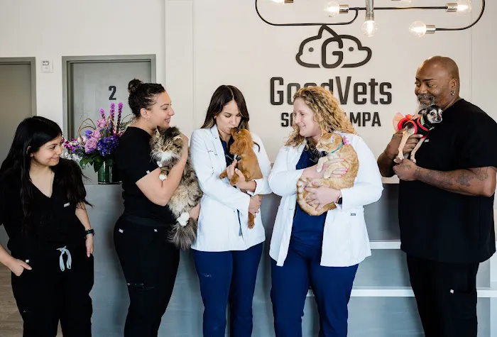 GoodVets South Tampa Picture 3