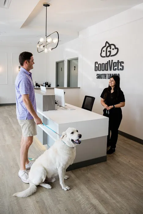 GoodVets South Tampa Picture 7