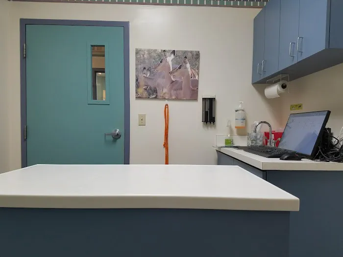 Banfield Pet Hospital Picture 3