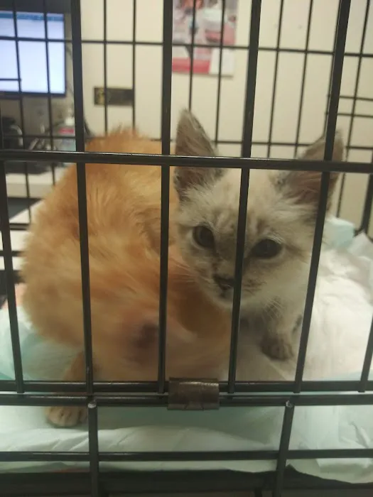 Banfield Pet Hospital Picture 7