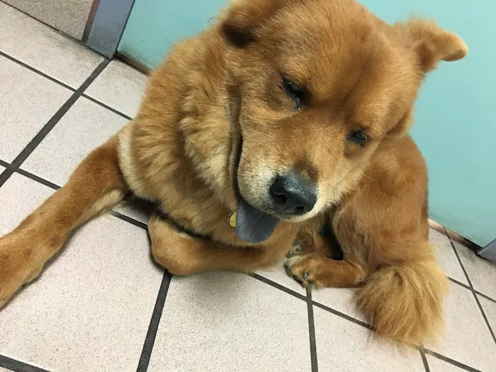 Banfield Pet Hospital Picture 10