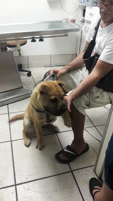 Avalon Animal Hospital Picture 7