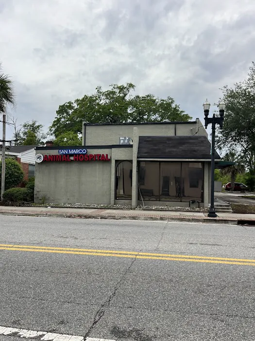 San Marco Animal Hospital Picture 4
