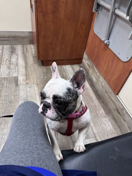 San Marco Animal Hospital Picture 1